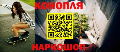 индика Мариинск