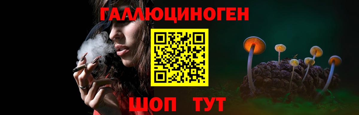 Галлюциногенные грибы прущие грибы  Вход с VPN  сколько стоит  Железноводск  Псилоцибиновые грибы прущие грибы 
