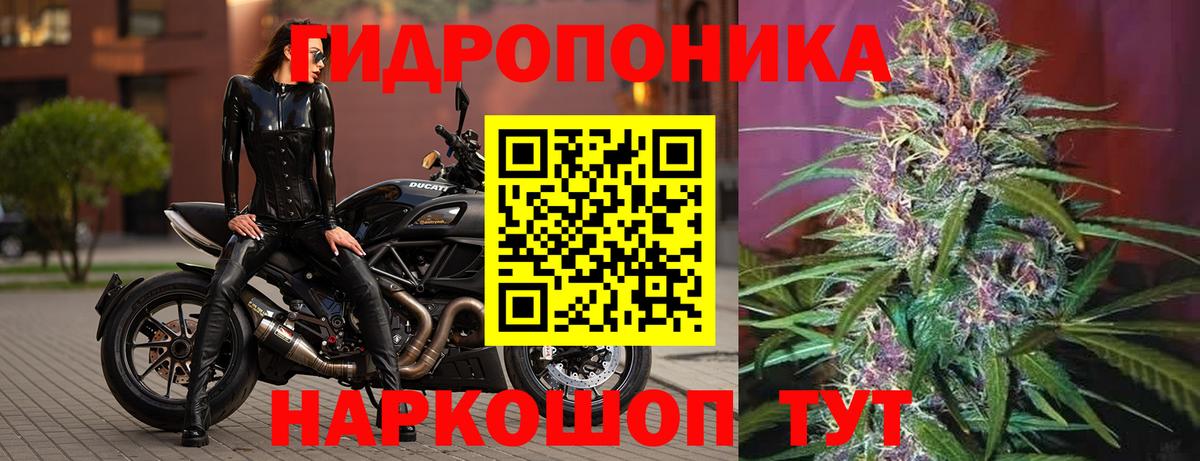 Конопля тримм  Бошки Шишки индика  Бошки Шишки Bruce Banner  Вход с VPN  Конопля ГИДРОПОН  Железноводск 